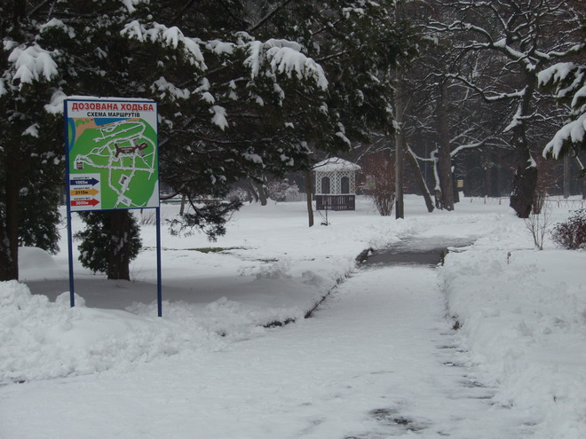 5 болезней, о которых необходимо знать