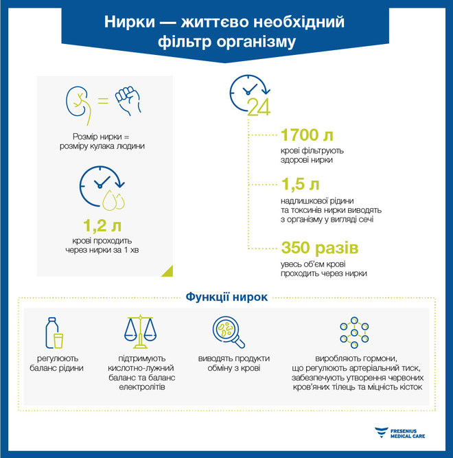 Мифы о почках: как фильтр нашего организма влияет на полноценную жизнь? (инфографика)
