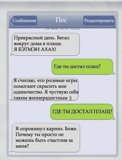 Собачьи смс: если бы мы могли переписываться с питомцами (фото)